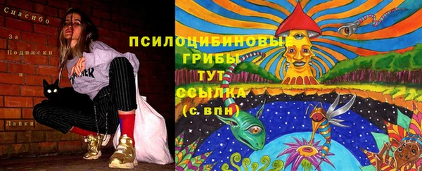 spice Балабаново