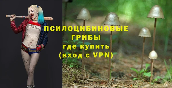 амф Баксан